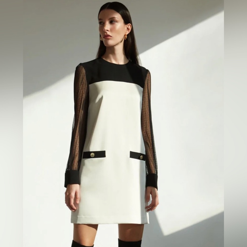 Black & White Mini Dress with Sheer Sleeves